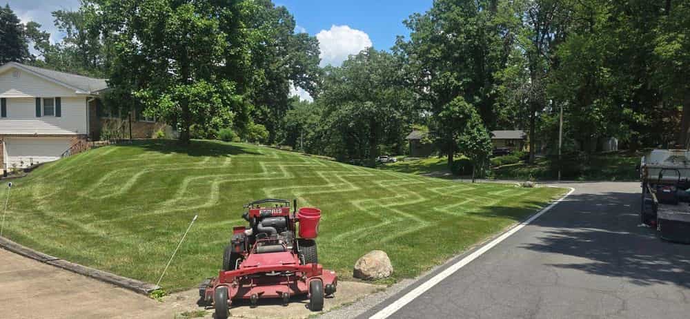 Hero image for Lawns to Impress