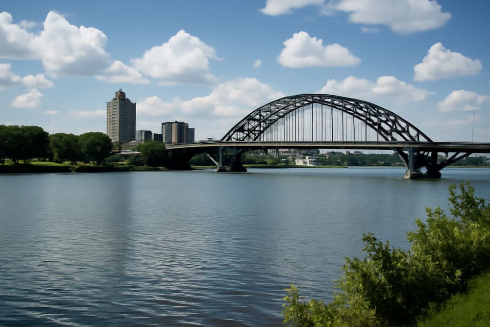 About Lawns to Impress